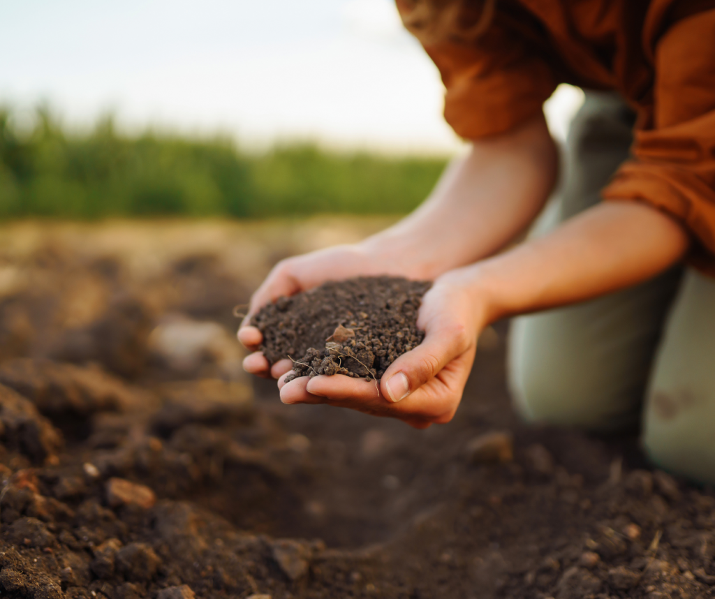 Composting-poorly-nourished-soils.